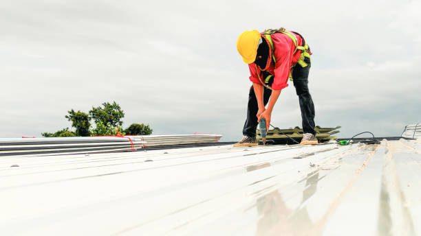 Best Roof Coating and Sealing  in Strum, WI